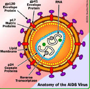 Thông tin tìm ra thuốc chữa AIDS: Chuyên gia nói gì?