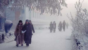 Chú chó chung thủy canh xác bạn trên tuyết hơn 10 ngày