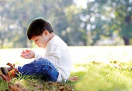 Hà Nội: hơn 1.000 trẻ tự kỷ đang học cấp tiểu học