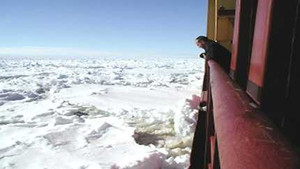 Nỗ lực giải cứu con tàu Nga kẹt trong băng Nam Cực