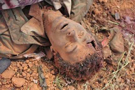 Những bức ảnh chấn động lương tri thế giới 2011