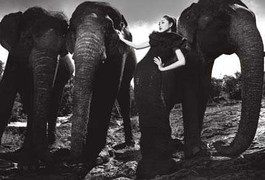 Clip: Top Model cưỡi voi, đi cà kheo...