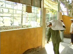 Long An: Cứu đói cho hàng loạt... hộ giàu