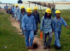 Bộ Lao động và Bộ Công an phối hợp xử 'cò mồi'