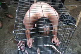 Cởi trần chui trong cũi chó để tạ tội với động vật