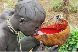 Bộ tộc giải khát bằng… máu động vật