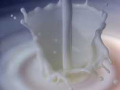 Không đạm, không DHA: Sữa sản xuất từ... bột bắp