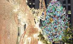 Ảnh: Đắm mình trong thế giới mê hoặc của ánh đèn Noel