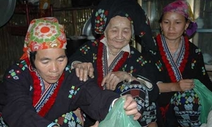 'Biệt dược phòng the' nơi thượng nguồn sông Mã