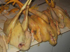 Gà bẩn, gà chứa chất độc tràn vào các chợ Hà Nội