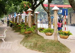 Lễ hội hoa lớn nhất lịch sử tại Hà Nội sẽ có gì?