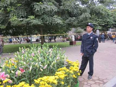 Lễ hội hoa: Phá hoại sẽ bị xử nặng