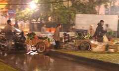 Kết thúc lặng lẽ, Lễ hội hoa 2012 không bị cướp hoa