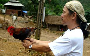 Ngày Tết lên rừng ăn “Lễ vật của Sơn Tinh”