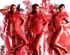 Giám khảo Next Top Model xoa dịu dư luận trước đêm CK