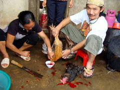 Thú vị chuyện được làm “vua” giữa đại ngàn Xuân Sơn