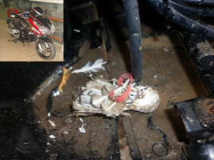 Tìm ra nguyên nhân vụ cháy xe Honda AirBlade ở Bắc Ninh