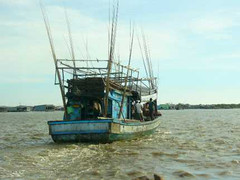 Tàu 'lạ' đâm tàu: Đòi tiền chuộc 10 ngư dân Cà Mau