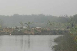 Lùm xùm vụ cưỡng chế, nổ súng ở Hải Phòng