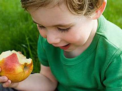 Dạy con chọn thức ăn lành mạnh