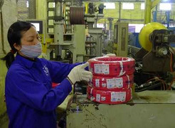 Cơ điện Trần Phú lọt vào Top 500 DN lớn nhất Việt Nam