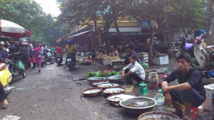Hà Nội: Chợ cóc “nuốt chửng” khu tập thể