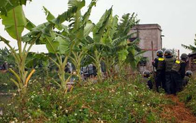 Thủ tướng yêu cầu làm rõ vụ cưỡng chế đất ở Hải Phòng