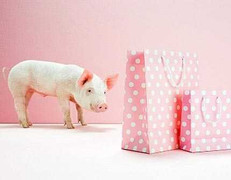 Để tiết kiệm chi tiêu: Không khó!