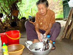 Cụ bà có điều ước được… chết