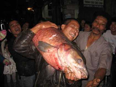 Xem các cần thủ Việt Nam sung sướng với “khủng long