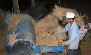 Miền Tây trắng đêm giao thừa bên ruộng lúa