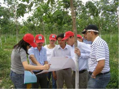 Thị trường mới, hứa hẹn nhiều cơ hội cho đại gia