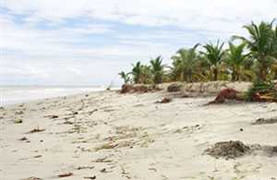 Đi chơi Tết, hai học sinh bị sóng biển cuốn mất tích