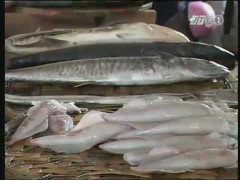 Miền Nam: Giá hải sản giảm dù sức mua tăng