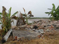 Bộ TN&MT thanh tra vụ cưỡng chế đầm tôm nhà ông Vươn