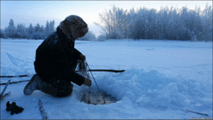 Nơi lạnh nhất thế giới: Dân sống thế nào?