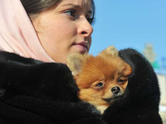 Ai mang cái lạnh chết chóc phủ trắng Châu Âu?