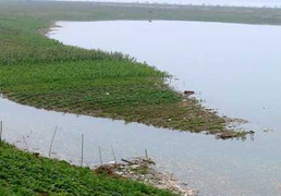 Xác phụ nữ trên sông Hồng: Nghi bị giết khi đi đòi nợ