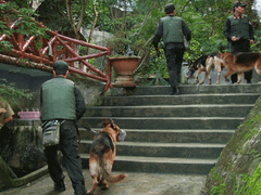 Bắt tổ chức phản động mang tên kỳ lạ