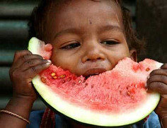 Ăn dưa hấu bị nhiễm khuẩn, 1 người tử vong