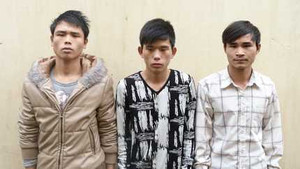 Bẻ gãy khóa bằng tay, trộm gần 20 xe máy