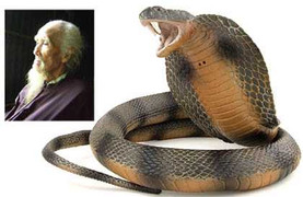 Ông lão trăm tuổi 2 lần giết “mãng xà tinh