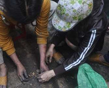 Tìm thấy hàng trăm chỉ vàng trong đám cháy ở Quảng Ngãi