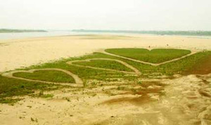 Chuẩn bị tỏ tình bằng 4.500 ngọn nến, công an ập đến