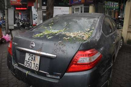 Hà Nội: Ô tô húc bay quán phở, 1 người nguy kịch