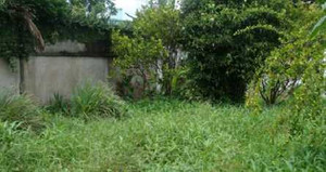 Đất thổ cư còn rớt giá nữa