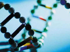 Tìm thấy 5 gien gây ung thư phổi