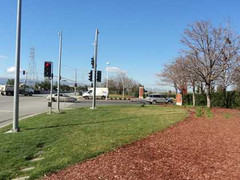 Chùm ảnh đặc biệt về Facebook do người Việt chụp