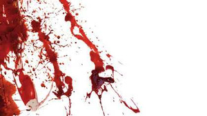 Microsoft cáo buộc Google và Motorola 'giết' web video