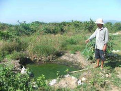 Hàng trăm hộ dân bị phân người tấn công